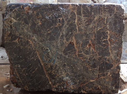 Classic Coral Saw Cut