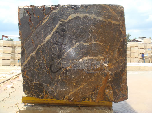 Colonial Coral Saw Cut