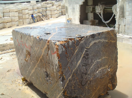 Golden Coral Saw Cut