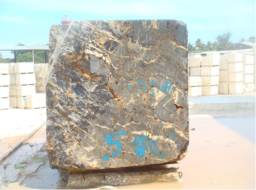 Colonial Coral Saw Cut