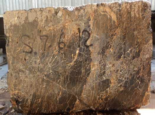 Classic Coral Filled Brushed