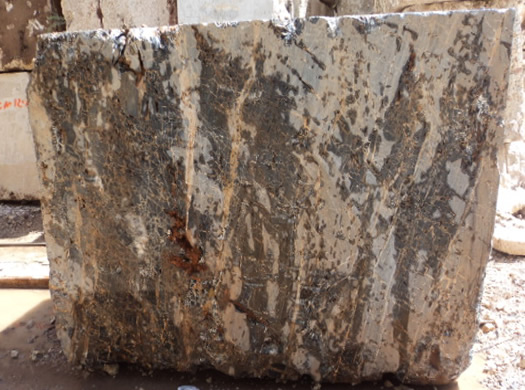 Classic Coral Saw Cut