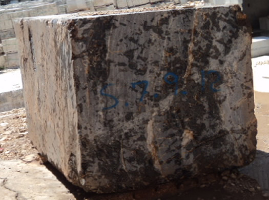 Golden Coral Saw Cut