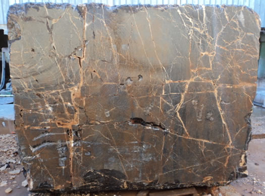 Classic Coral Filled Brushed