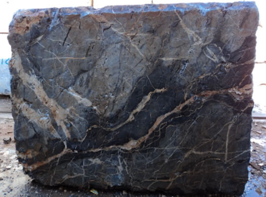 Classic Coral Saw Cut