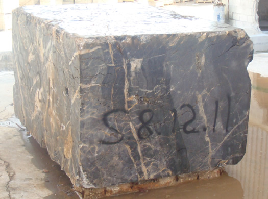 Golden Coral Saw Cut