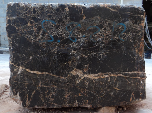 Classic Coral Filled Brushed