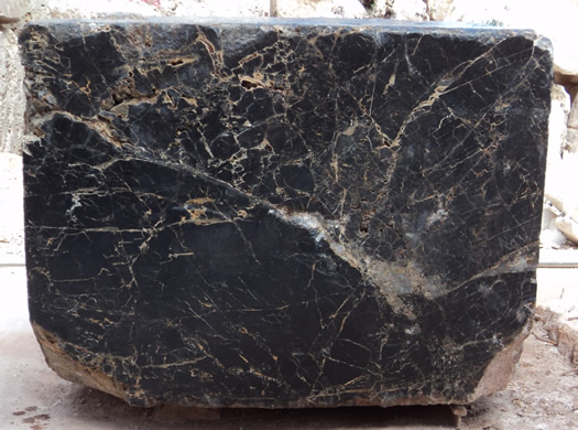 Classic Coral Saw Cut