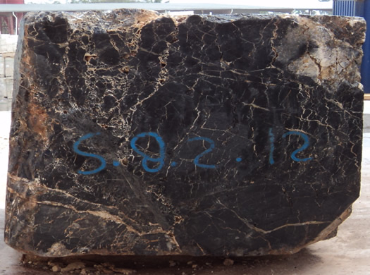 Colonial Coral Saw Cut