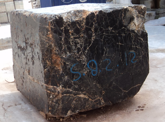 Golden Coral Saw Cut