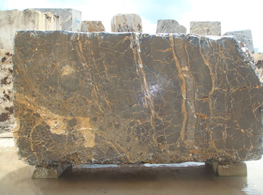 Classic Coral Saw Cut