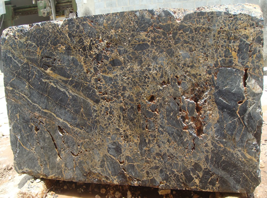 Classic Coral Filled Brushed