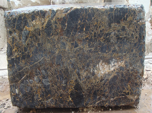 Classic Coral Saw Cut