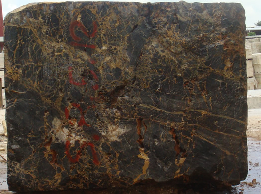 Colonial Coral Saw Cut