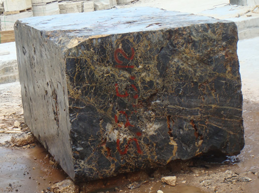 Golden Coral Saw Cut