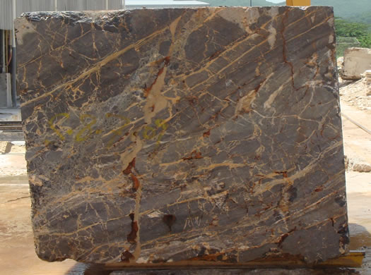 Classic Coral Saw Cut
