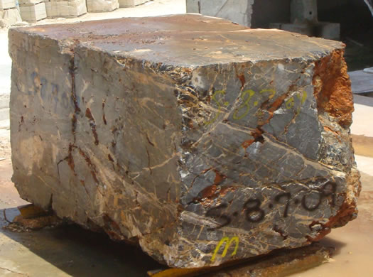 Golden Coral Saw Cut