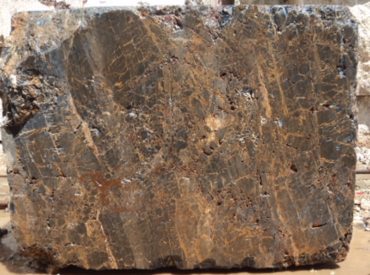 Classic Coral Saw Cut