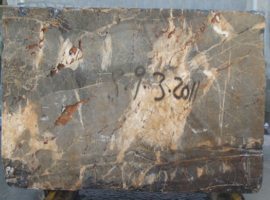 Classic Coral Filled Brushed