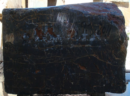 Classic Coral Saw Cut