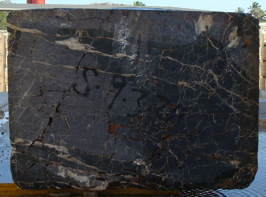 Colonial Coral Saw Cut