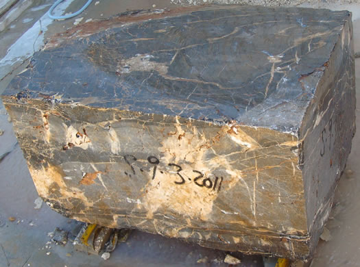 Golden Coral Saw Cut