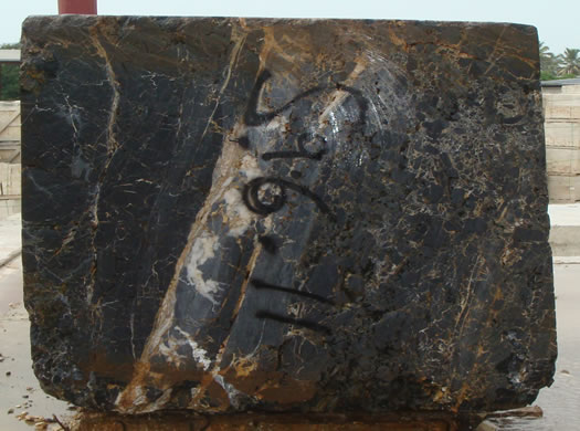 Colonial Coral Saw Cut