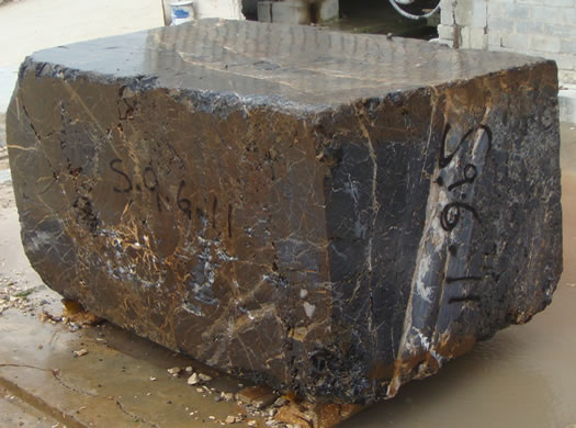 Golden Coral Saw Cut