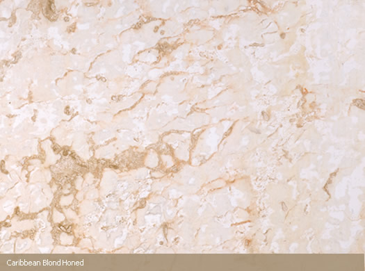 Caribbean Blond Honed Caribbean Blond Honed