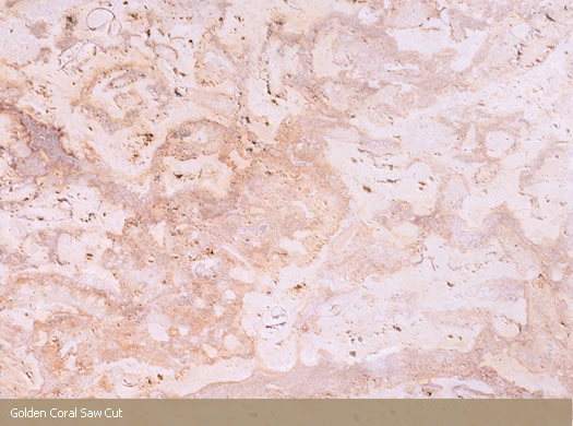 Golden Coral Saw Cut